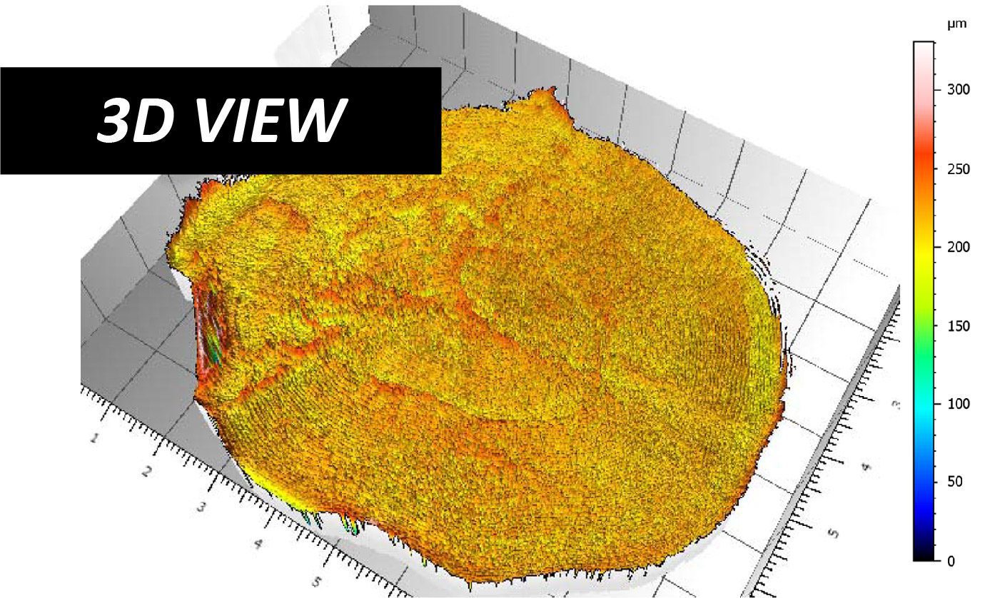 Escáner de escamas de pescado Perfilómetro de vista 3D